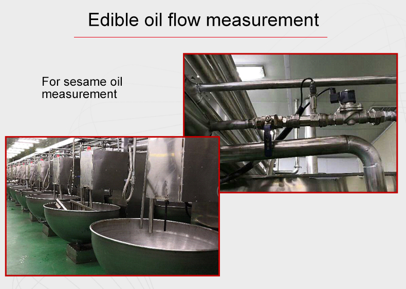 edible oil flowmeter
